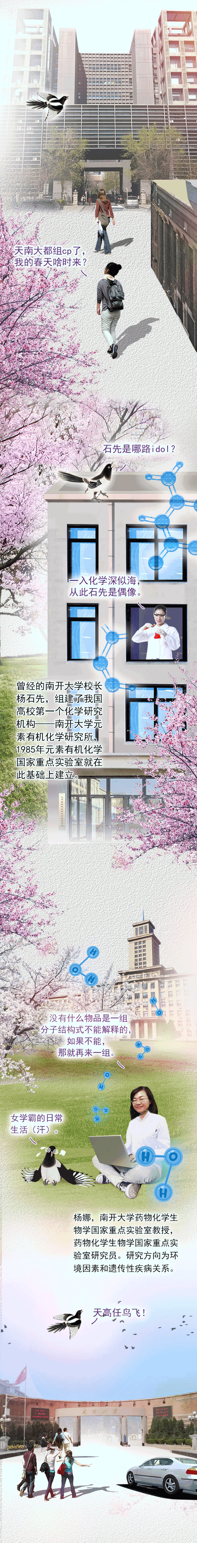 【来，看天津】一只春游的小喜鹊~~