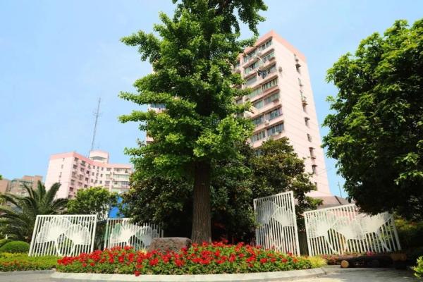 打开“津门”，哪些可以向上海学习？