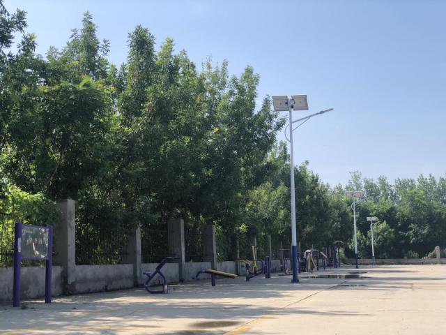 致敬脱贫攻坚典型 | 王岩：发挥青春正能量 驻村帮扶勇担当