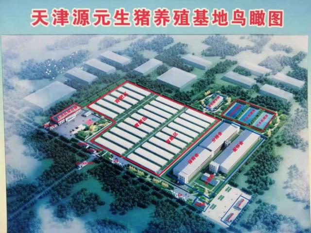 奋斗百年路 启航新征程丨牢记初心使命 争取更大光荣：二师兄“打头阵”静海现代农业玩“出圈”