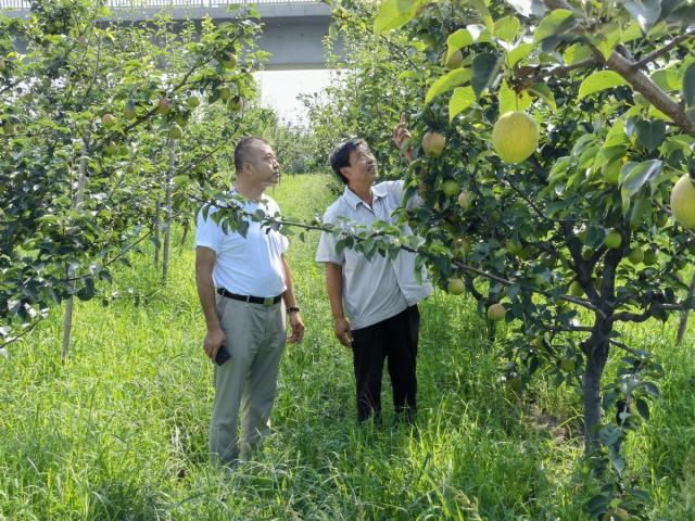 牢记初心使命 争取更大光荣丨秋日限定！丰收季，这里上演水果缤纷乐