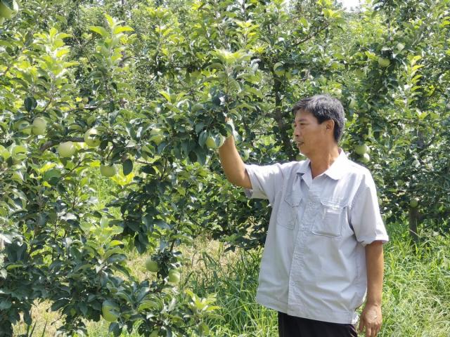 牢记初心使命 争取更大光荣丨秋日限定！丰收季，这里上演水果缤纷乐