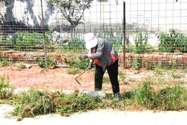 牢记初心使命 争取更大光荣丨土河村不“土”了