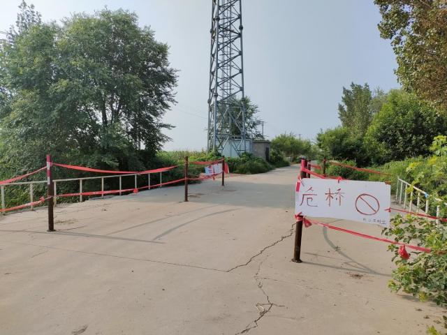 我为群众办实事丨一座桥，改变一个村