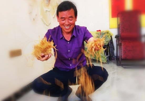 静海融媒记者在镇原：遍地黄花是金针