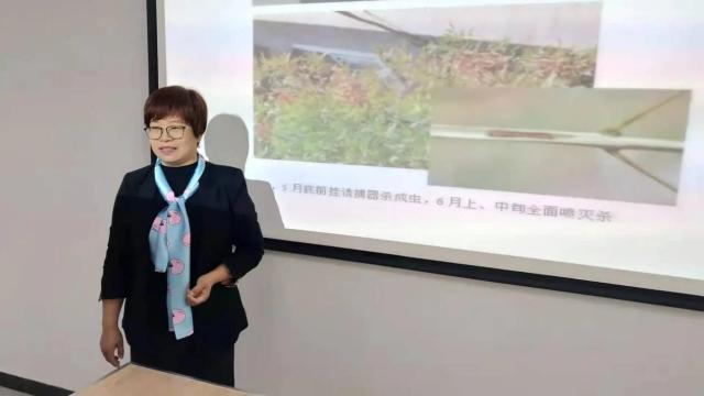 静海榜样丨中秋王、瑞雪、红色之爱、维纳斯黄金……这个女人的果园里,上演苹果开会