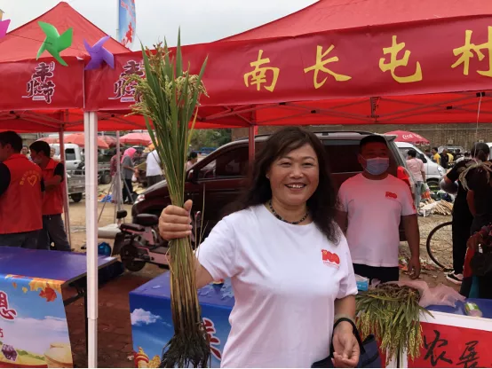 走!带你看看静海各地的丰收笑脸,感受丰收喜悦