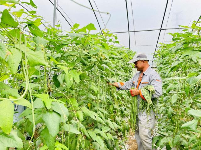 牢记初心使命 争取更大光荣丨撸起袖子加油干，农民生活芝麻开花节节高