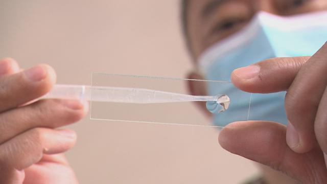 新思想引领新征程时代答卷丨新奇新奇真新奇！对虾养在大棚里
