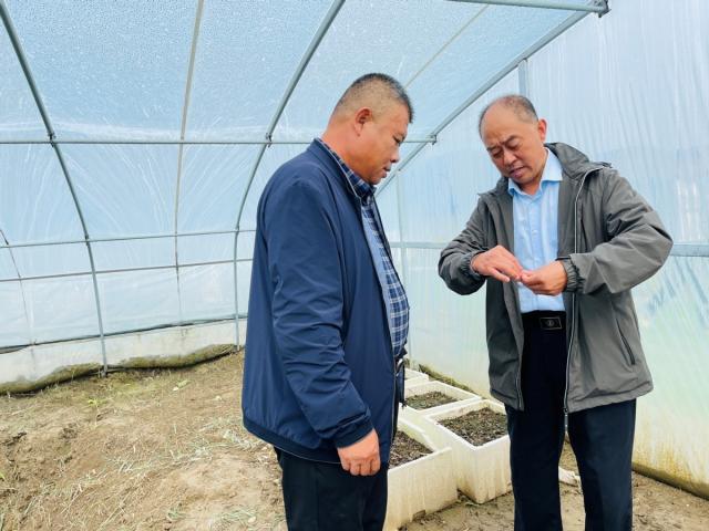新思想引领新征程时代答卷丨新奇新奇真新奇！对虾养在大棚里