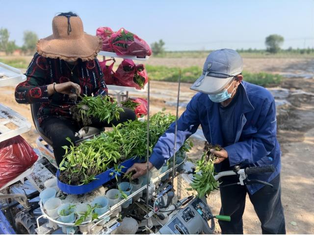 奋进新征程 建功新时代丨温度与深度并存！这里是新时代文明实践站，也是群众幸福的港湾