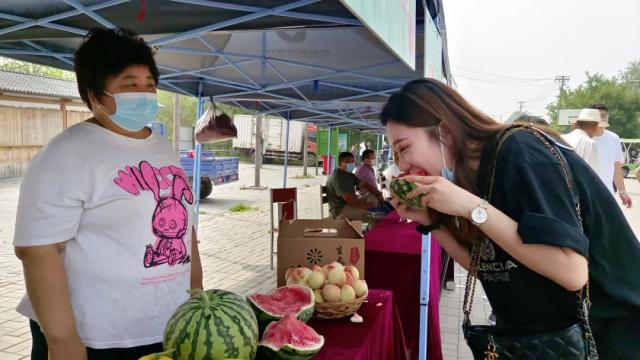 准备好把“夏天”抱回家了吗？台头西瓜文化旅游节邀你吃瓜
