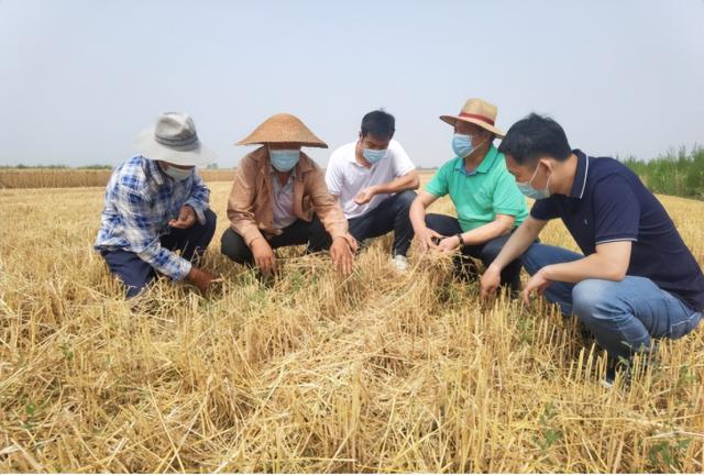 奋进新征程 建功新时代丨麦收季，金满地！一起见证丰收时刻