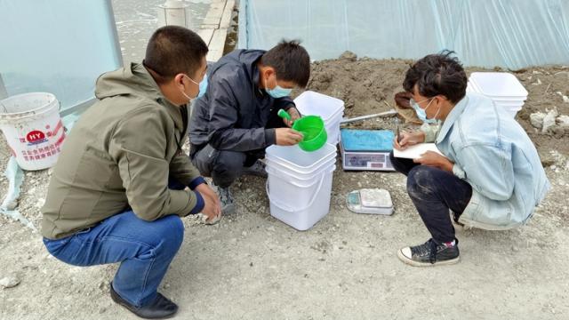奋进新征程 建功新时代丨温棚能养虾？能，而且好处多