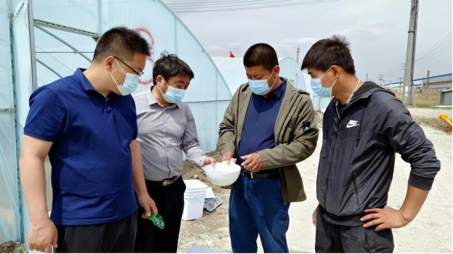 奋进新征程 建功新时代丨温棚能养虾？能，而且好处多
