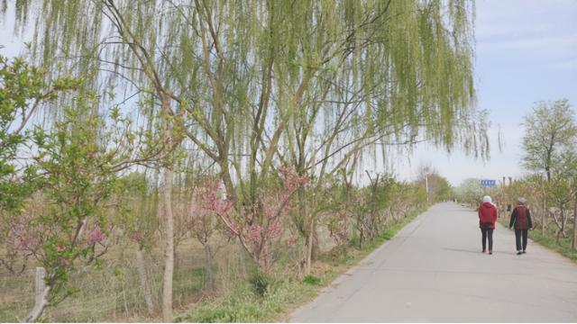 贯彻党代会精神·静海在行动丨文明新风看静海