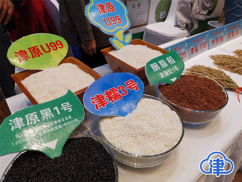 从产到销融合发展 天津打造小站稻全产业链