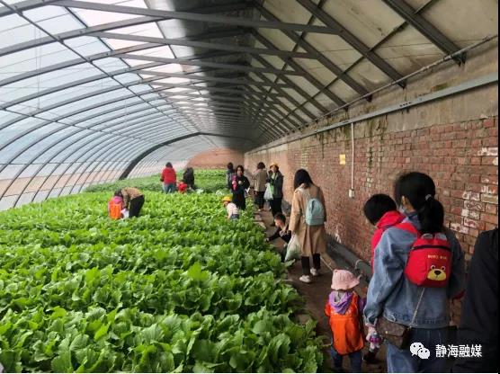 "第一次来光合谷,这里既有游乐设施能参观动物园,又有采摘,特别适合