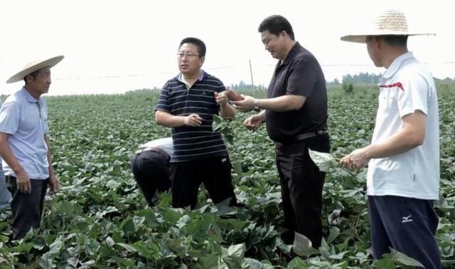 王俊斌,天津农学院基础科学学院副研究员,天津市植物生理与分子生物