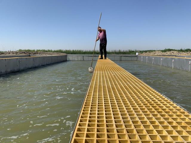 跑道养鱼跑出生态养殖新模式